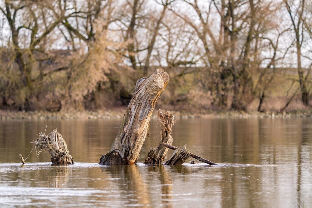産後におすすめの体幹トレーニングセッションとは？