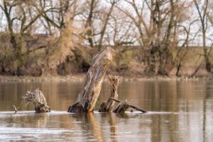 産後におすすめの体幹トレーニングセッションとは？