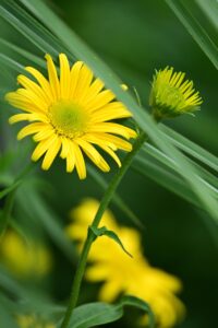 産後の肩こりを改善するベンドの効果とは？