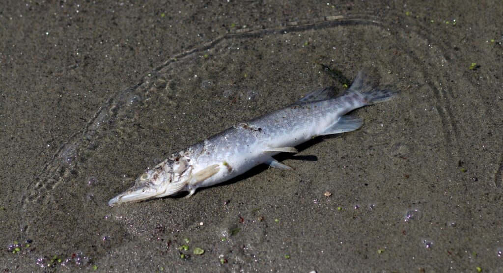 産後におすすめのプロテイン摂取ガイドとは？