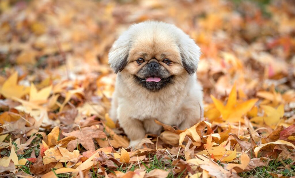 産後に子連れでできる運動はどんなものがある？