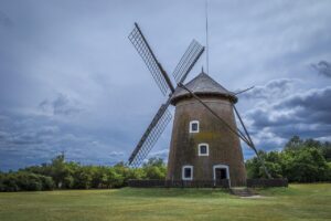 一人参加でも安心して楽しめるイベントは？