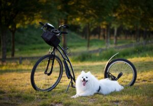 初めての産後トレーニングはどのように始めれば良いですか？