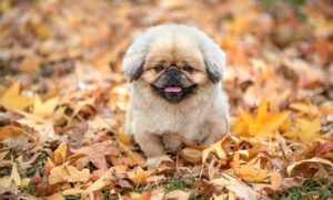 効果が出るまでの期間を短縮するためのポイントは？