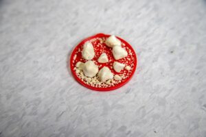 産後の尿漏れを改善するためのトレーニング方法は？