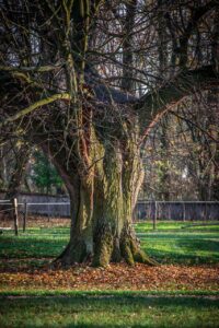 産後の骨盤の歪みを改善するための効果的な方法は？